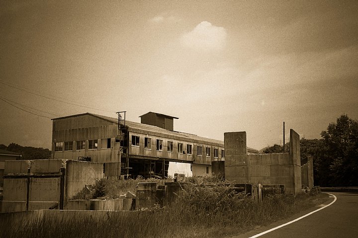 b0175964_13284582.jpg