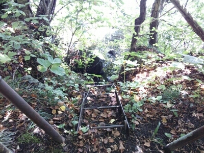 f0131165_18513440.jpg