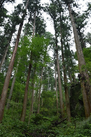 f0342371_1949179.jpg