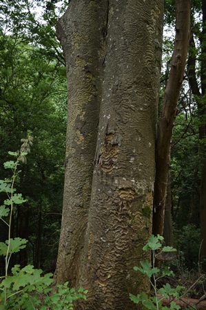 f0342371_19501322.jpg