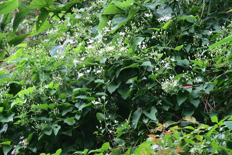 e0292172_206738.jpg