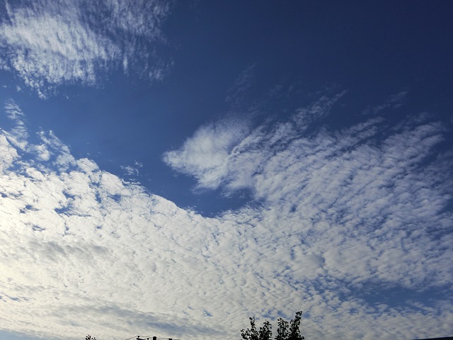 d0147774_0173345.jpg