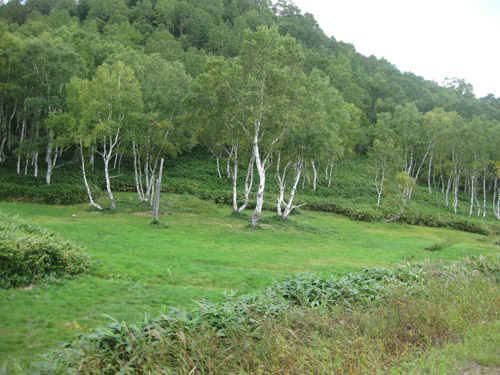 b0144082_024726.jpg