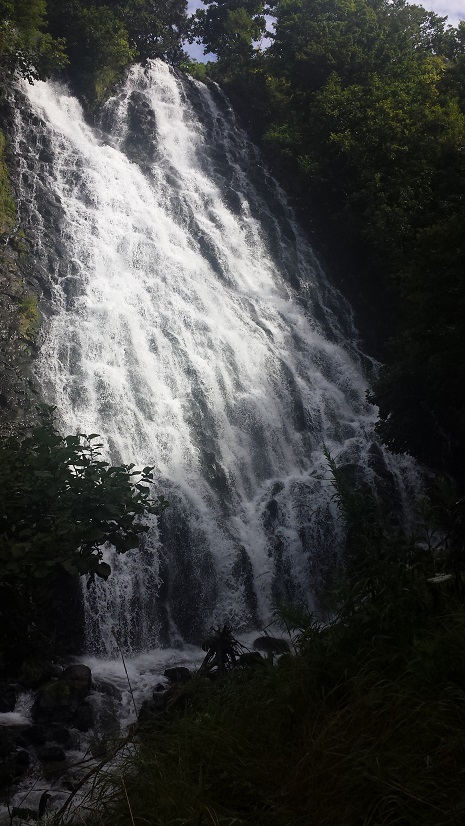 b0078183_23355034.jpg