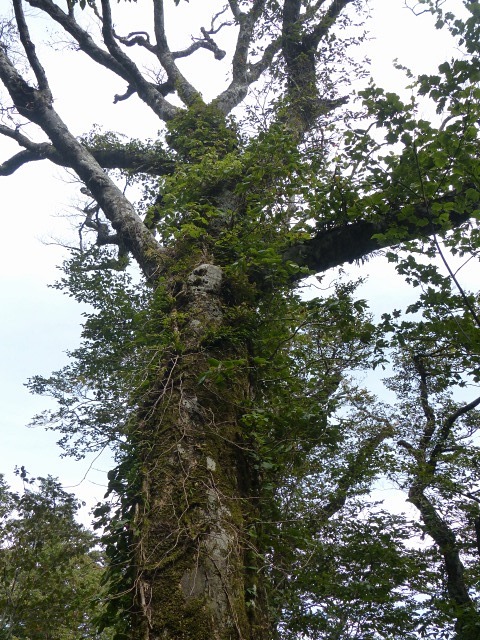 f0357487_028448.jpg