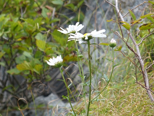f0357487_0331340.jpg