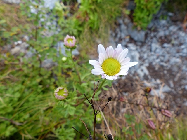 f0357487_0383517.jpg