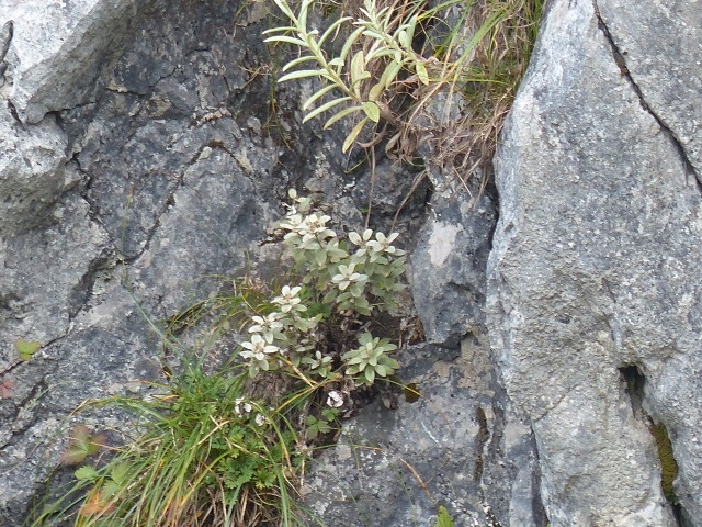 f0357487_0391743.jpg