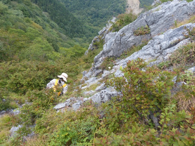 f0357487_0421296.jpg