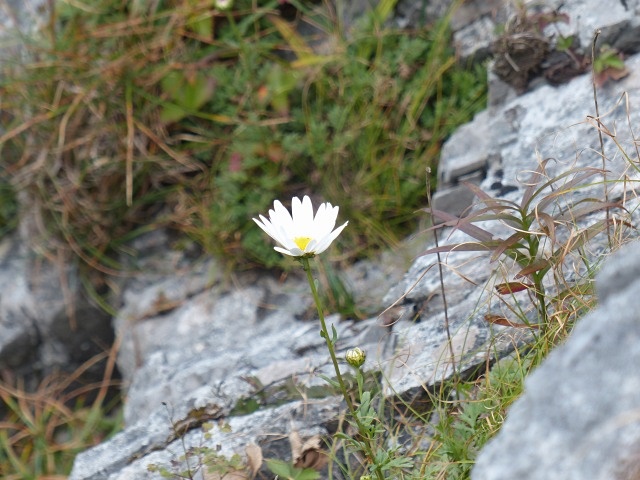 f0357487_0435346.jpg