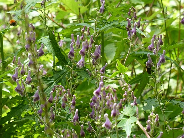 f0357487_0442626.jpg