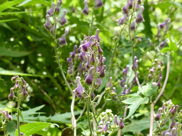 f0357487_0451845.jpg