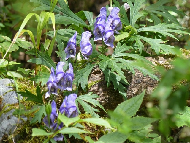 f0357487_0461622.jpg