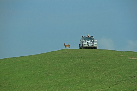 a0222494_9431133.jpg