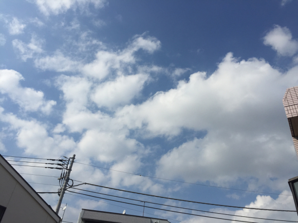 d0135694_09024171.jpg