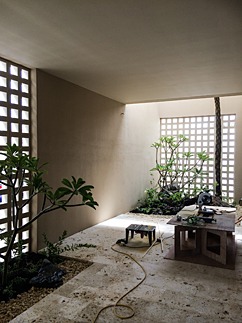 b0014003_916451.jpg
