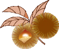f0231709_10194435.gif