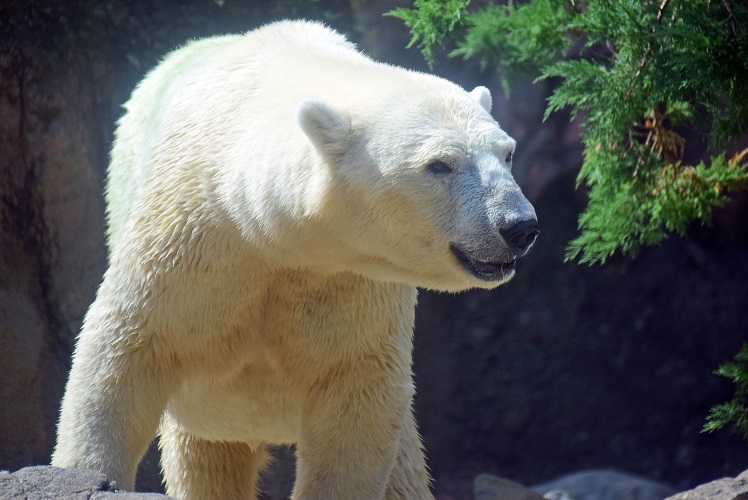 a0151913_1631484.jpg