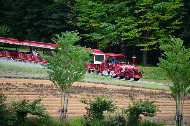 f0046614_1421188.jpg