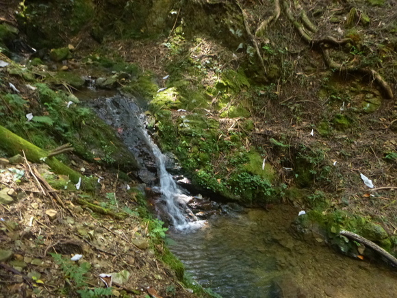 d0170615_9145735.jpg