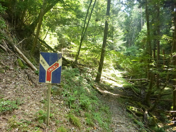 d0170615_915840.jpg