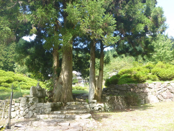 d0170615_9165536.jpg