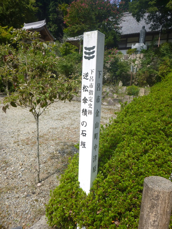 d0170615_9171321.jpg