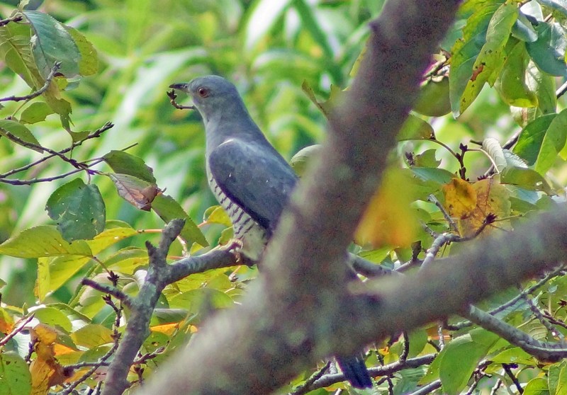 c0042418_861578.jpg