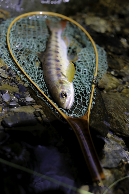 e0200926_2111756.jpg