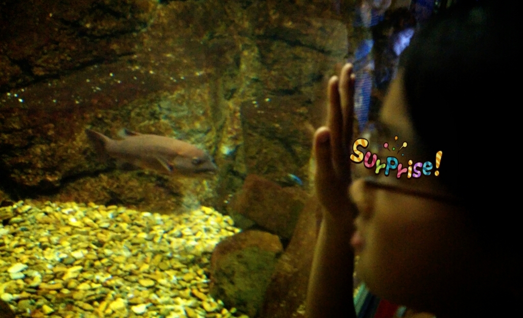 f0277327_22295205.jpg