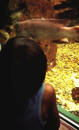 f0277327_22295379.jpg