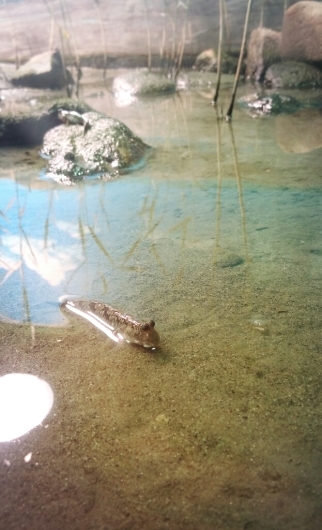 f0277327_22295751.jpg