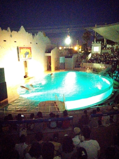 f0277327_22301169.jpg