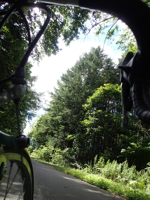 c0288736_082169.jpg