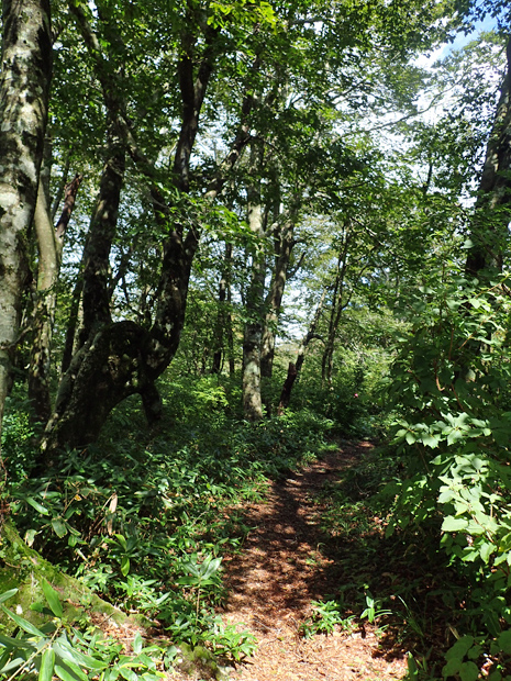 f0214649_320454.jpg