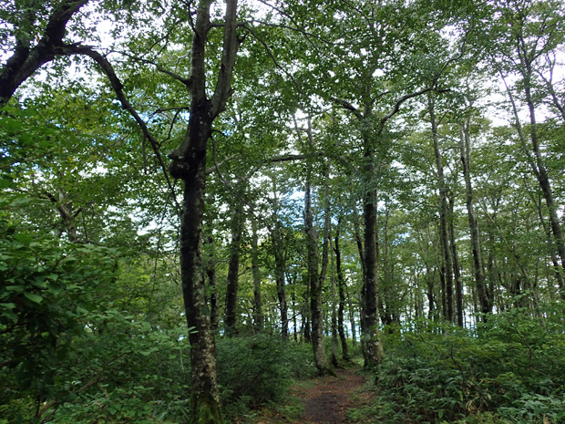 f0214649_343989.jpg