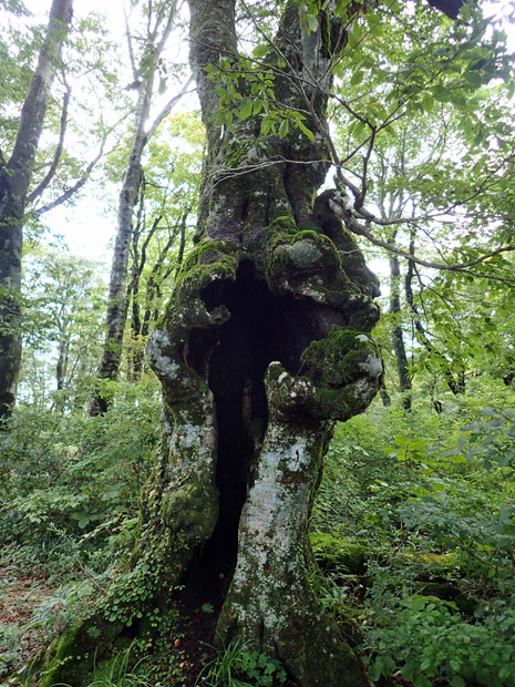 f0214649_34440100.jpg
