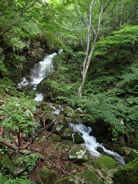 f0214649_4113531.jpg