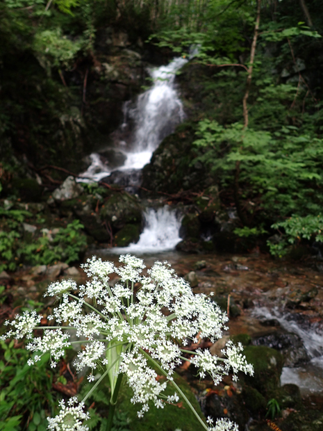f0214649_412135.jpg