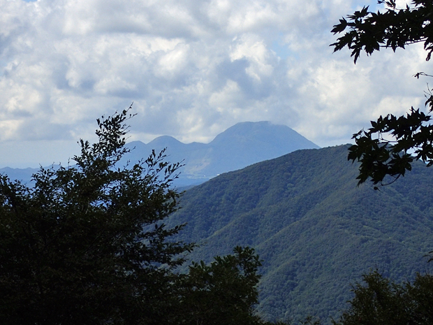 f0214649_423865.jpg