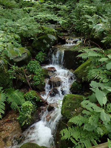 f0214649_495048.jpg