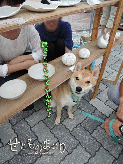 a0286855_6301444.gif
