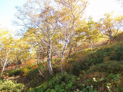 e0004756_2303813.jpg