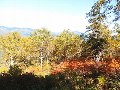 e0004756_2314313.jpg