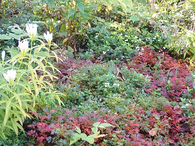 e0004756_2334867.jpg