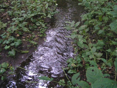 c0112172_1622386.jpg