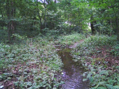 c0112172_16232152.jpg