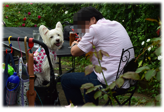 b0242873_01161646.png