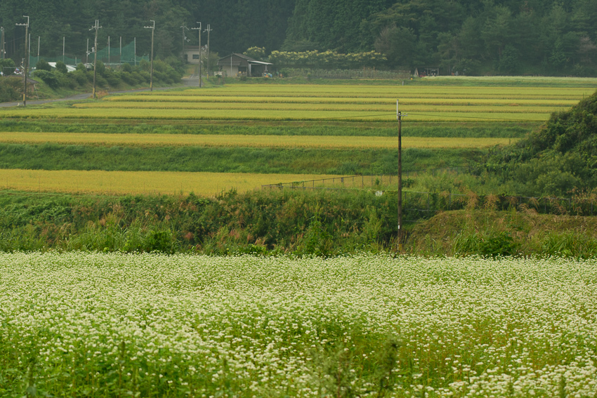a0301676_09200031.jpg