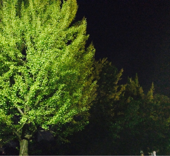 f0351179_20500014.jpg